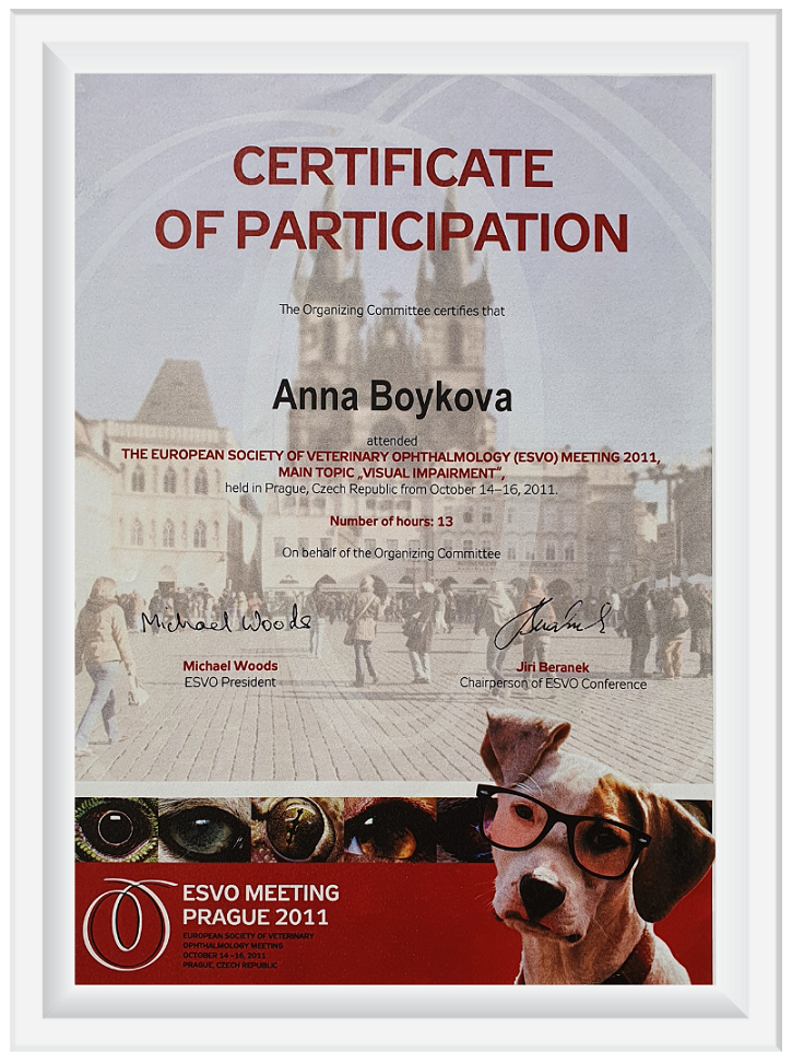 Сертификат Бойкова А.А.