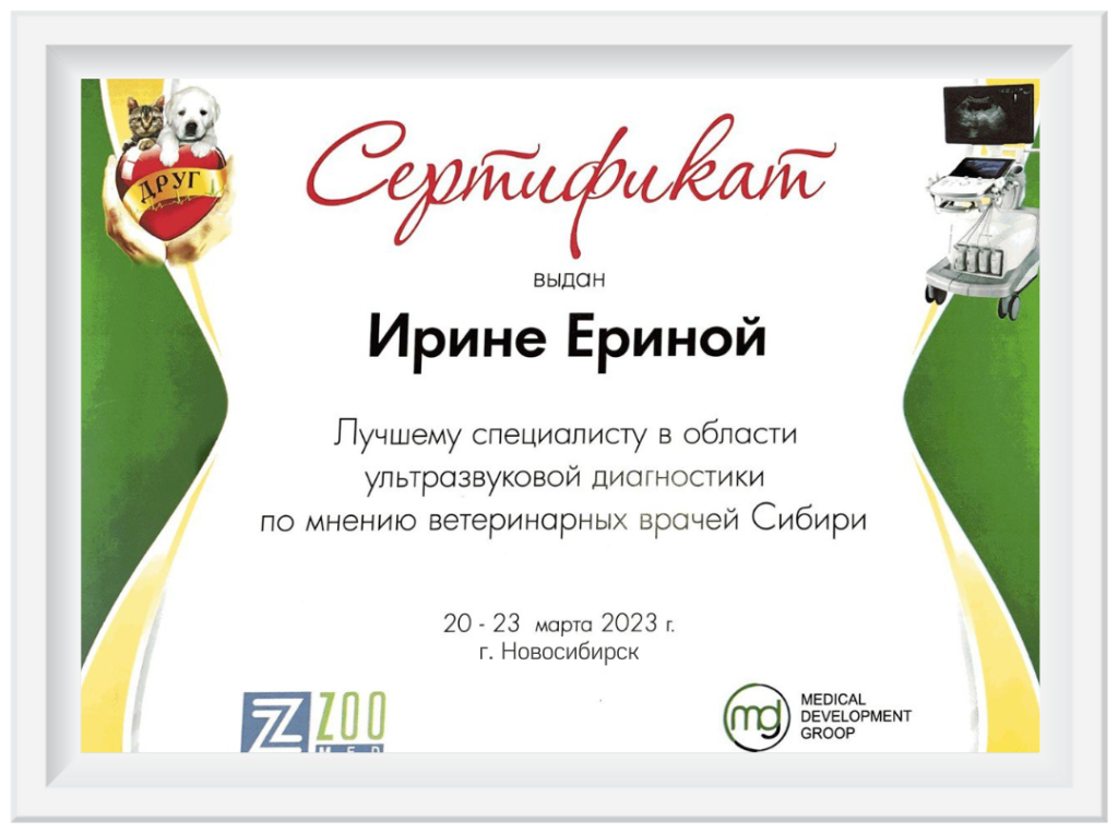Сертификат Ерина-1.png