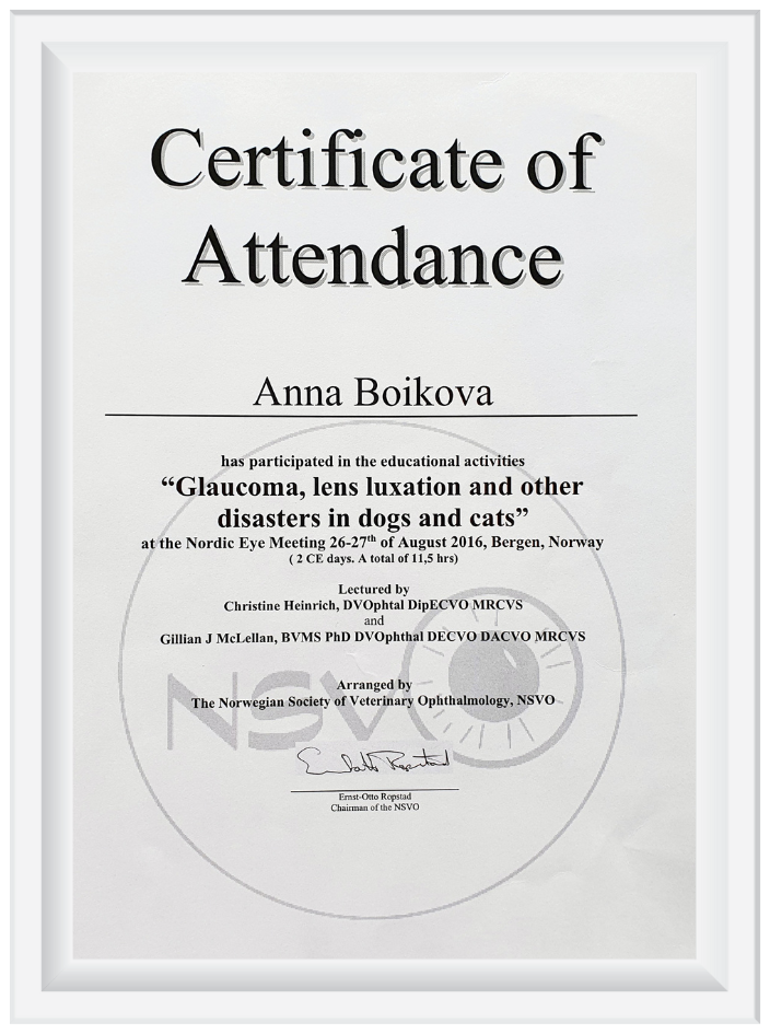 Сертификат Бойкова А.А.